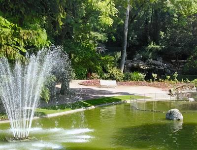 Jardin Dumaine Lucon vendee